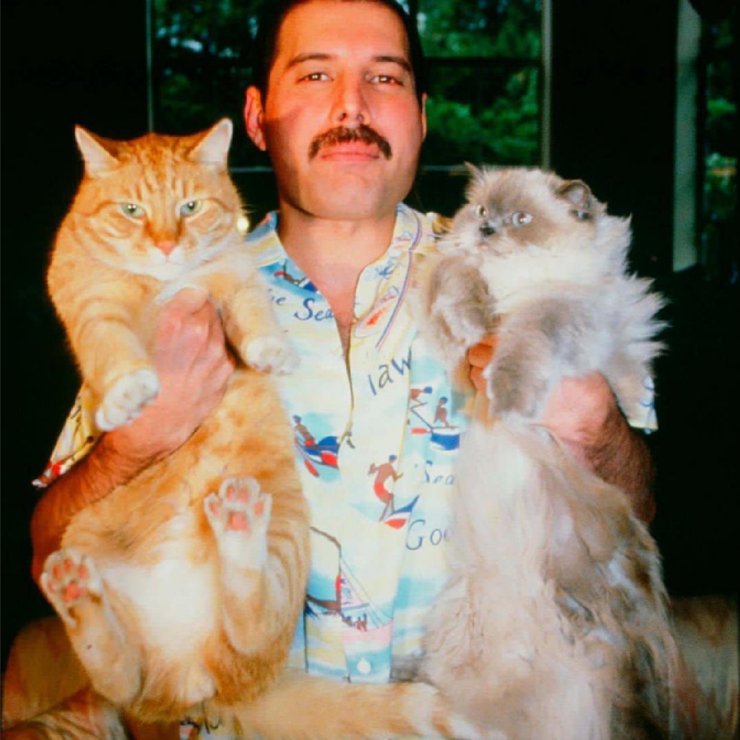 Freddie Mercury a jeho malé velké kočičí lásky