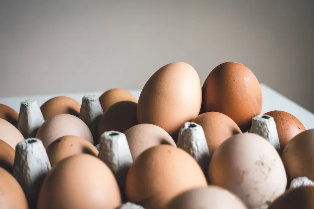 Vejce a cholesterol - kolik vajec můžete bezpečně sníst?