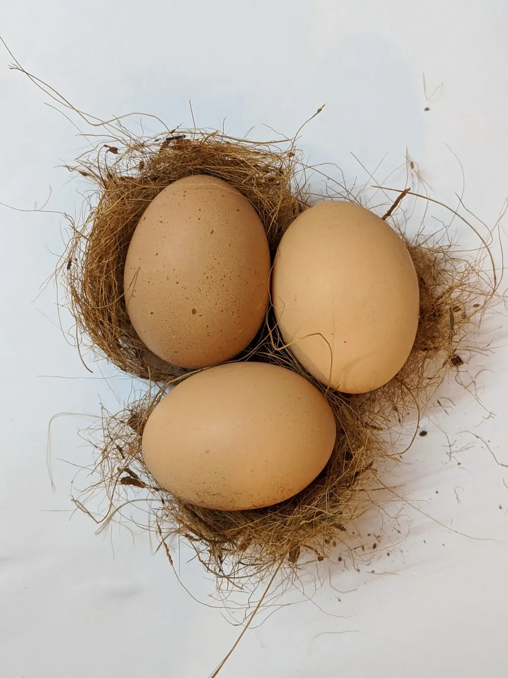 Křepelčí vejce: Výživa a výhody