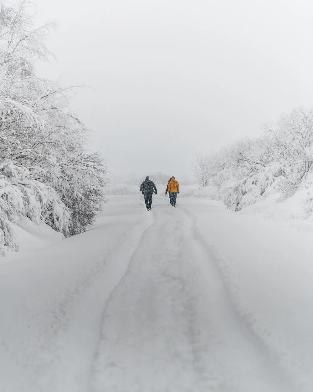 Běhání v zimě: Výhody a strategie ochrany