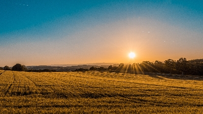 Proč může být život na venkově více stresující než život ve městě?